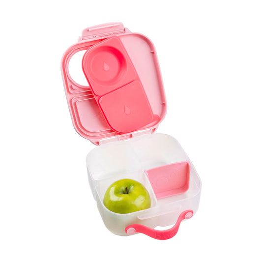 NEW - MINI Lunch Box -Flamingo Fizz