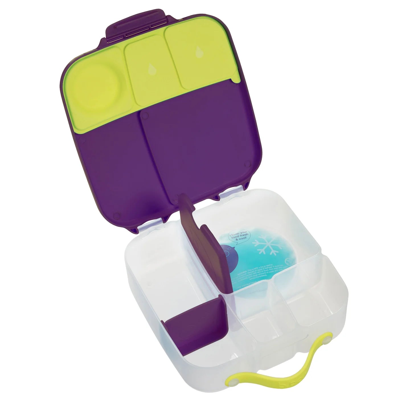 Passion Splash Lunchbox - Large