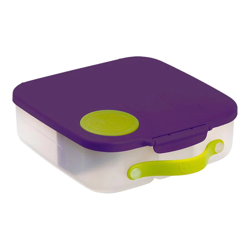 Passion Splash Lunchbox - Large