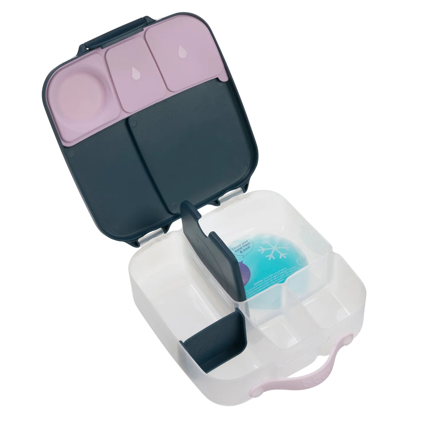 Indigo Rose Lunchbox - Large